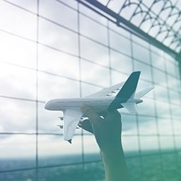 Aircraft Airplane Aviation Transportation Travel Trip