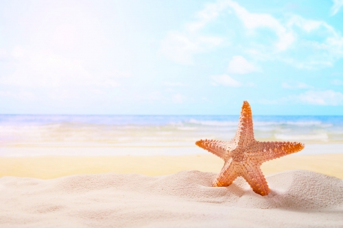starfish-summer-sunny-beach-ocean-background-travel-vacation-concepts